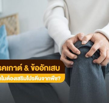 โรคเกาต์