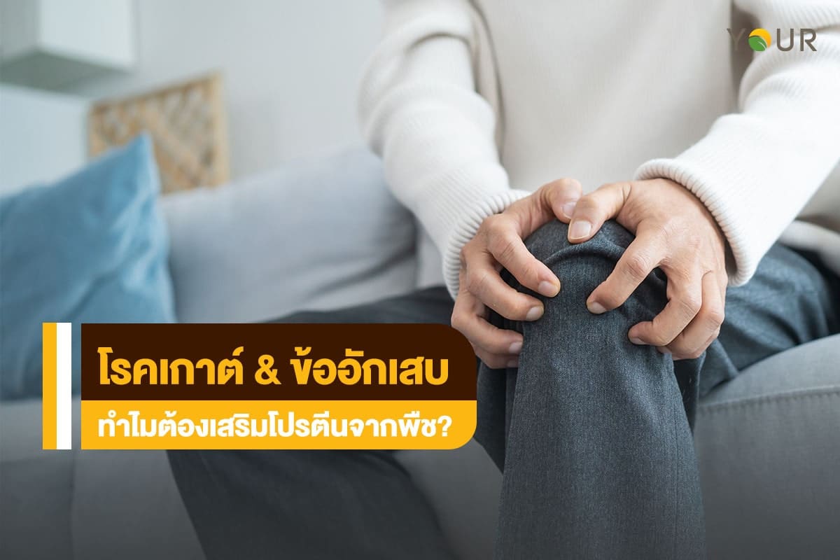 โรคเกาต์