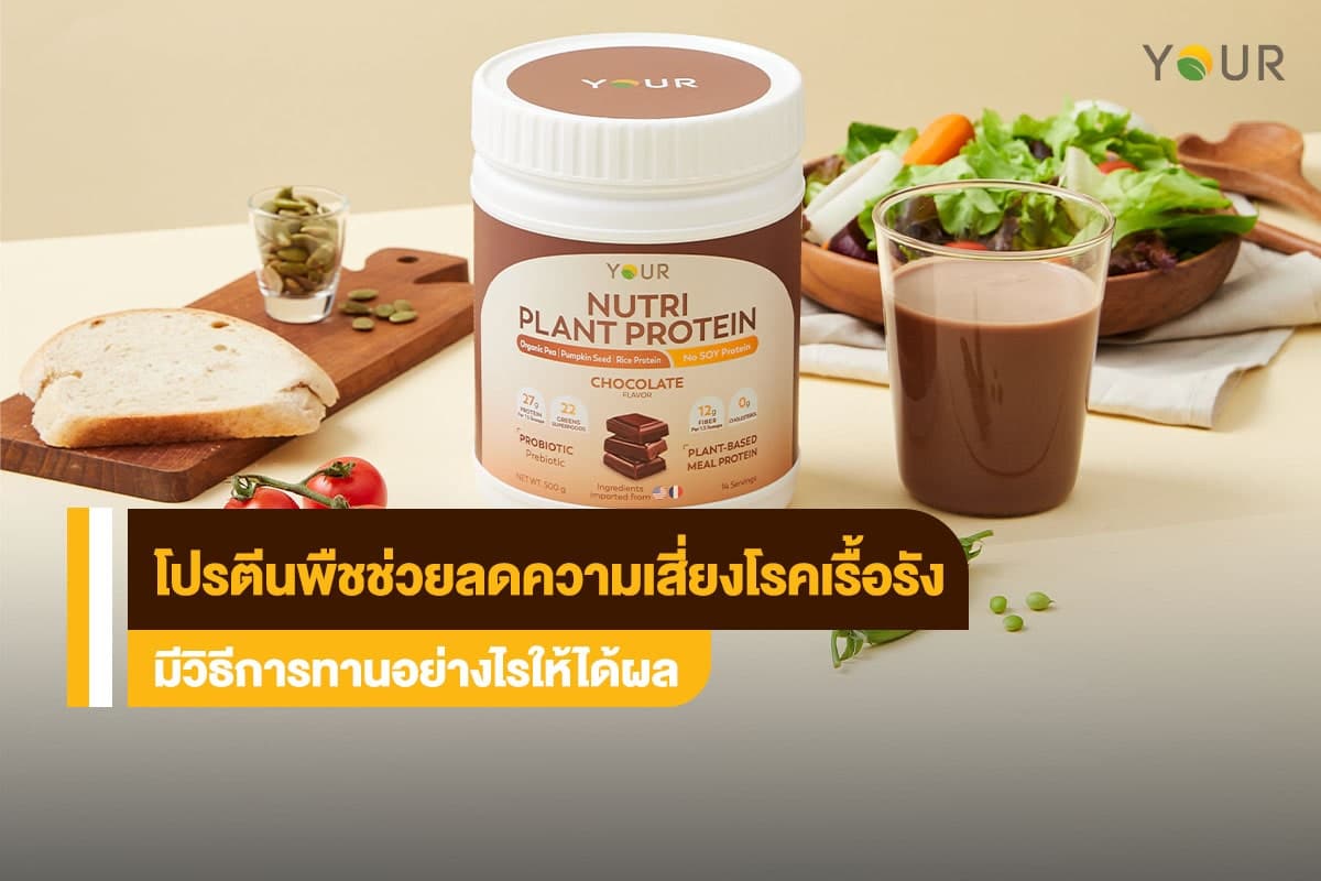 โปรตีนพืช