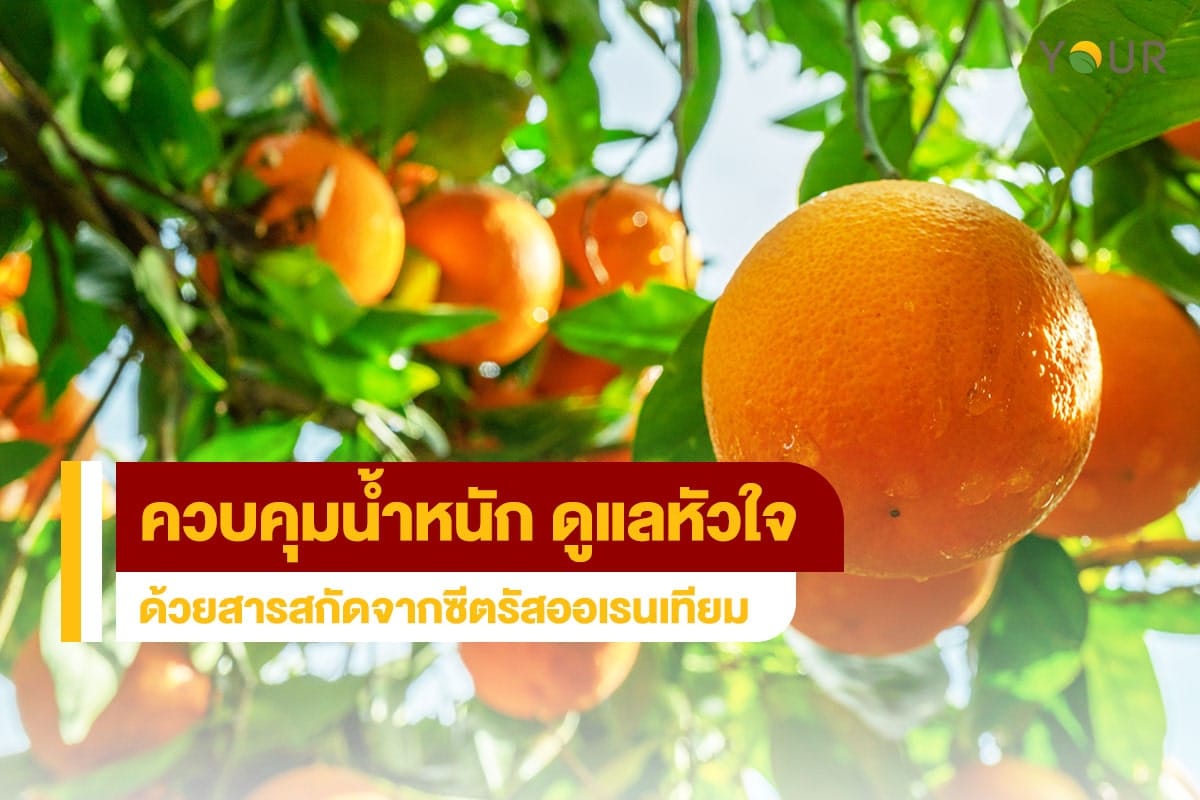 คุมน้ำหนัก