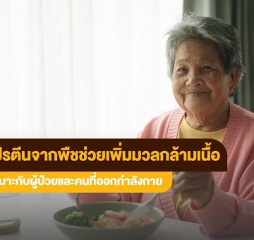 โปรตีนจากพืช