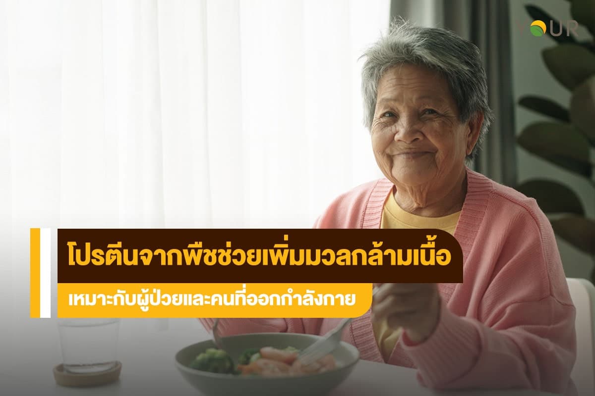 โปรตีนจากพืช