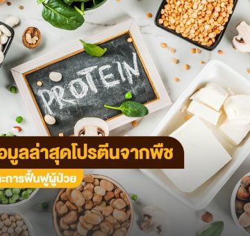 โปรตีนพืช