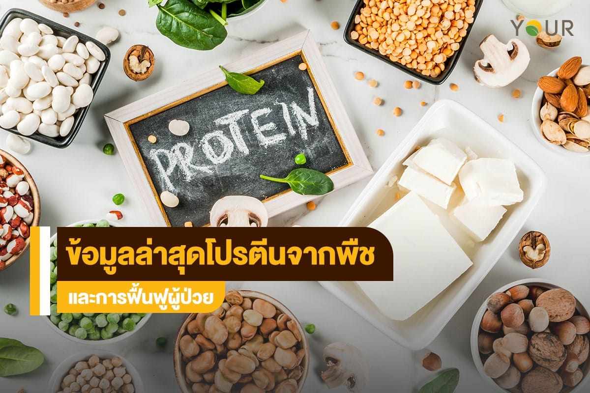โปรตีนพืช