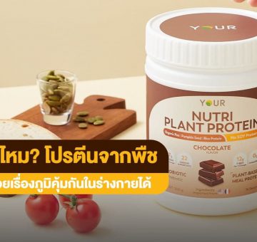 โปรตีนจากพืช