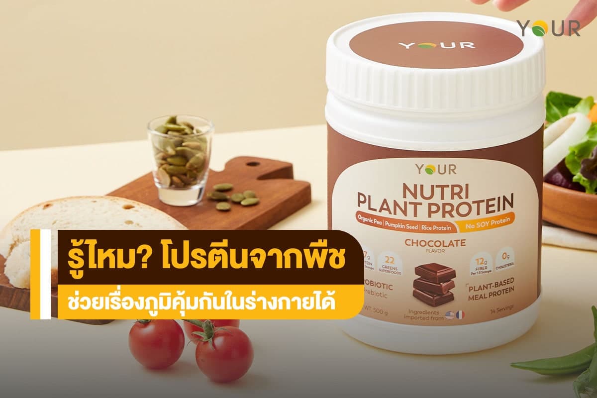 โปรตีนจากพืช
