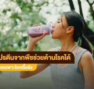 โปรตีนจากพืช
