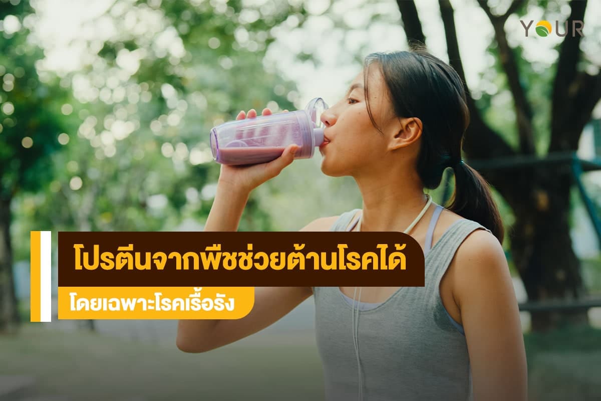 โปรตีนจากพืช