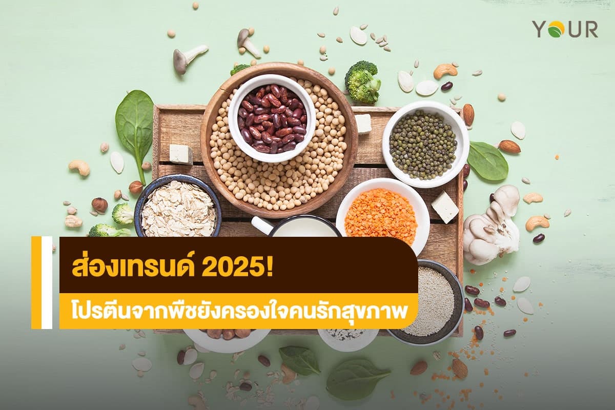 โปรตีนจากพืช