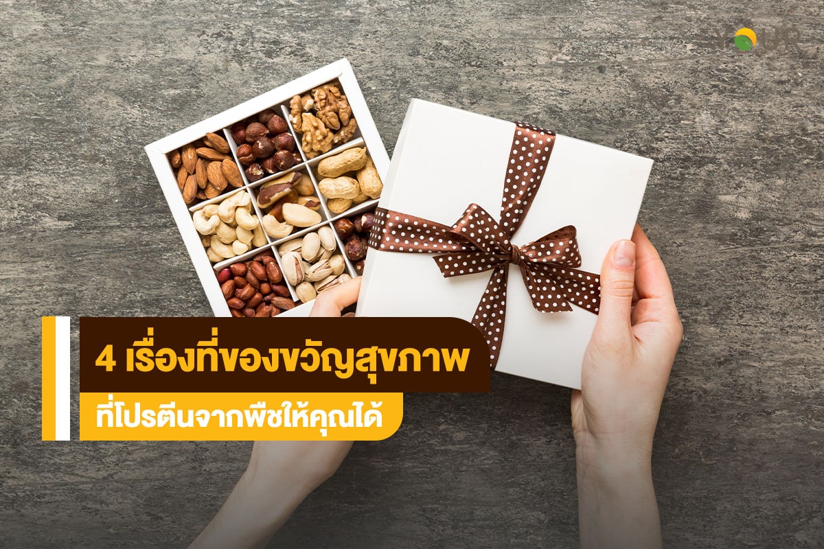โปรตีนจากพืช