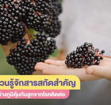 สารสกัด