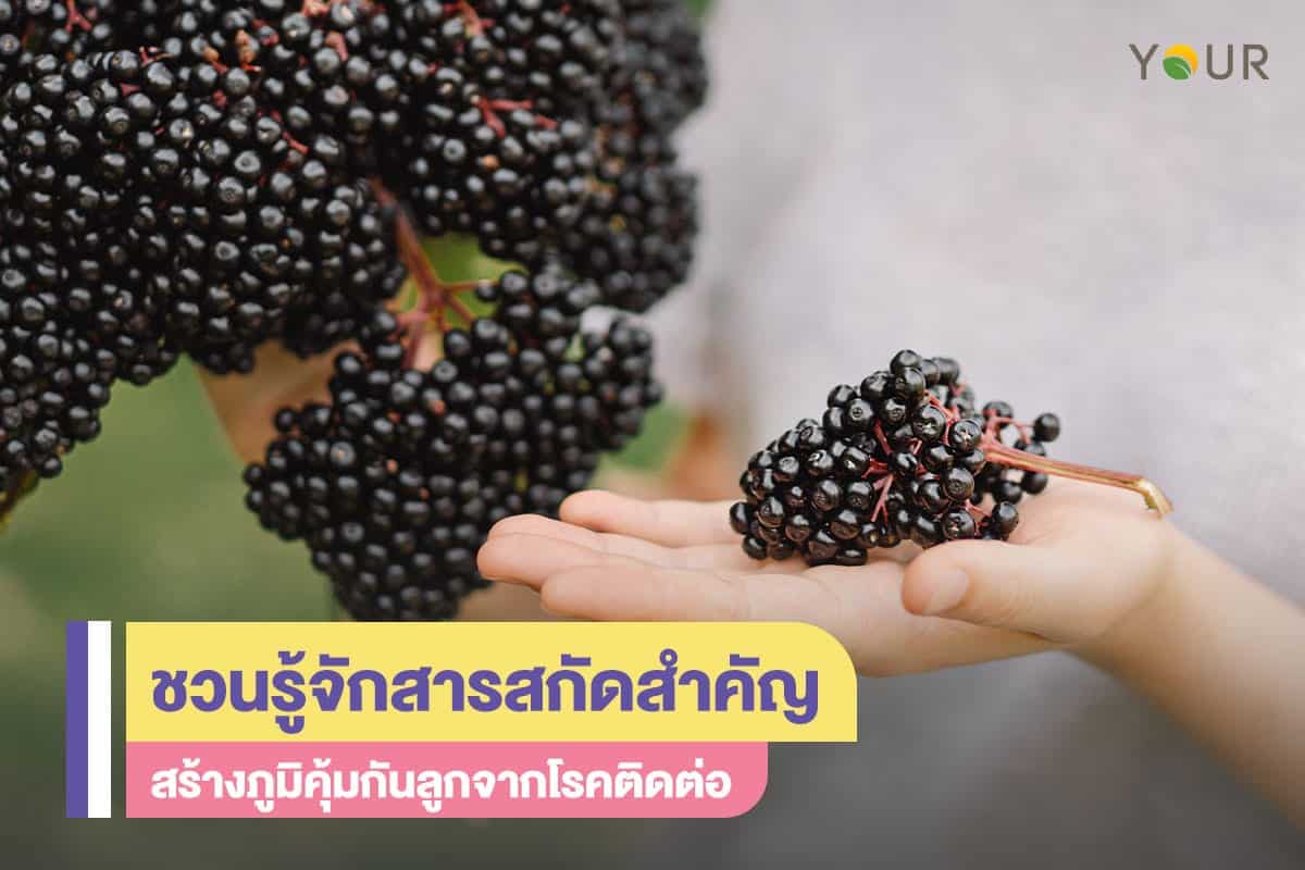 สารสกัด