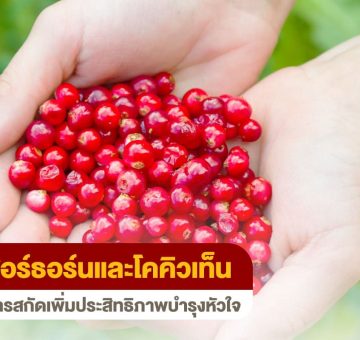 ฮอร์ธอร์น