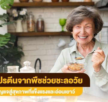 โปรตีนจากพืช