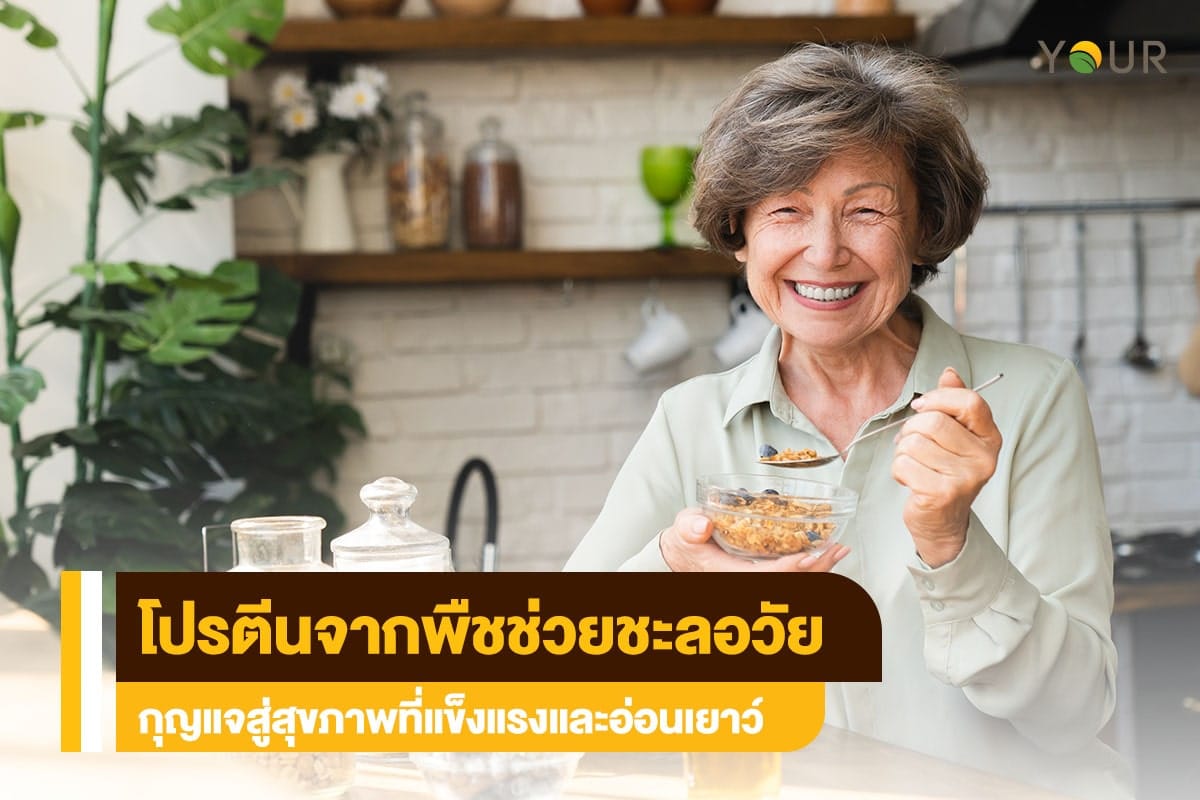 โปรตีนจากพืช