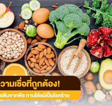 โปรตีนจากพืช