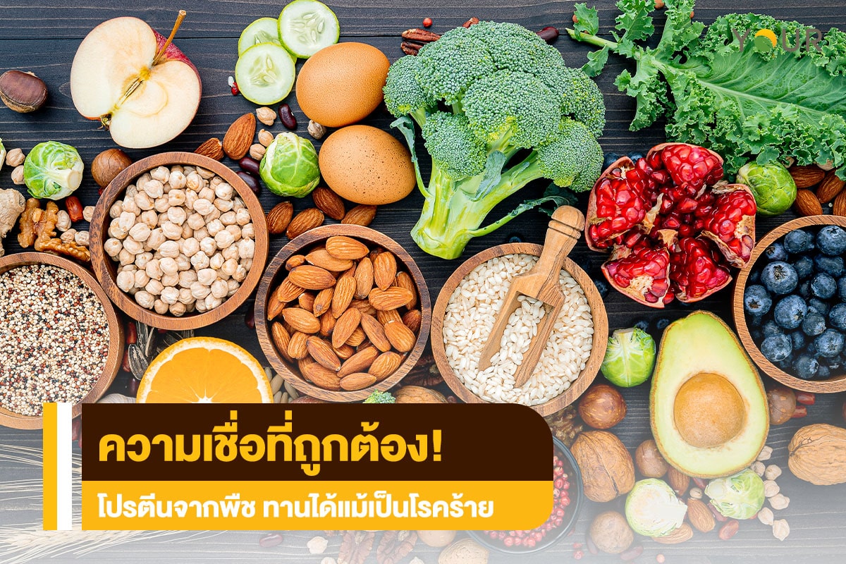 โปรตีนจากพืช