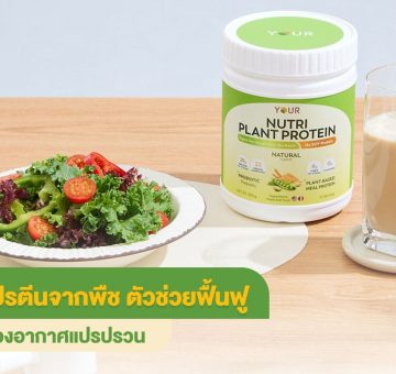 โปรตีนจากพืช