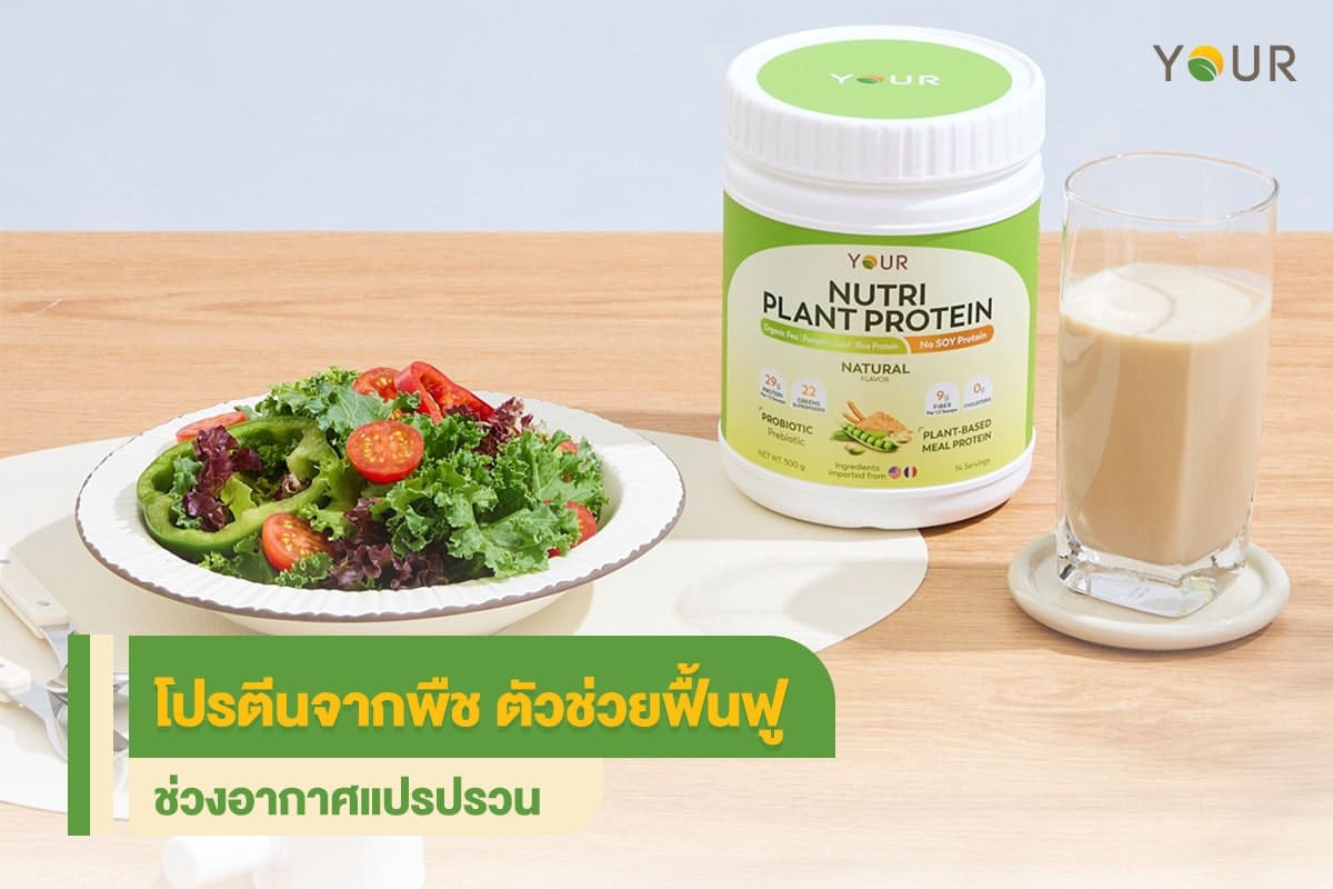 โปรตีนจากพืช