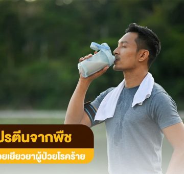 โปรตีนจากพืช