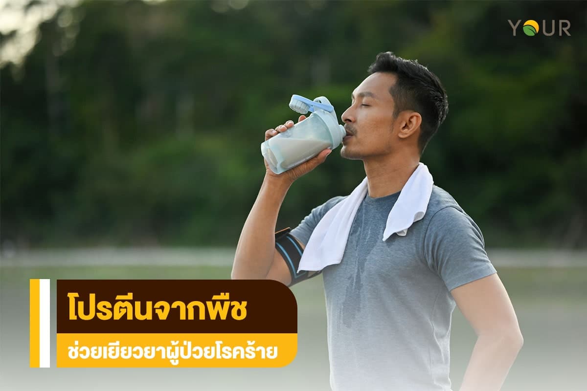 โปรตีนจากพืช