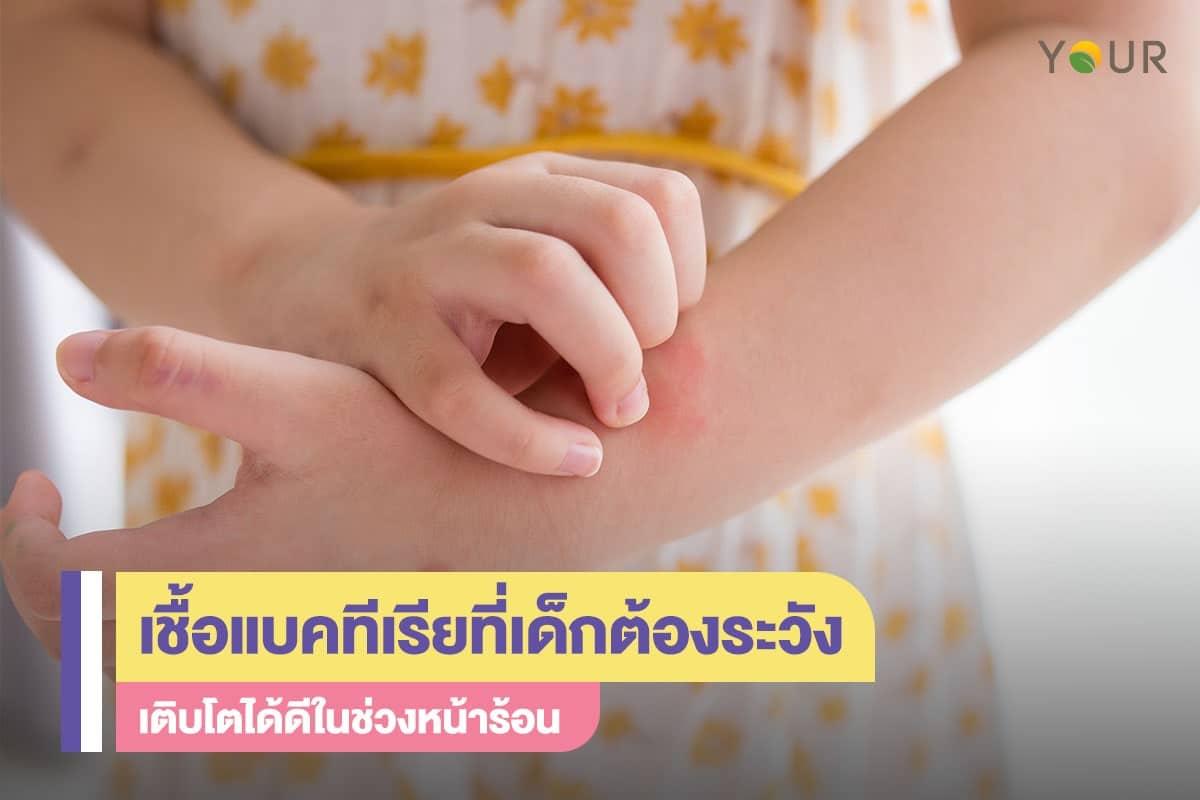 เชื้อแบคทีเรีย