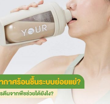 ระบบย่อยอาหาร