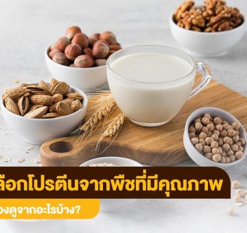 โปรตีนจากพืช