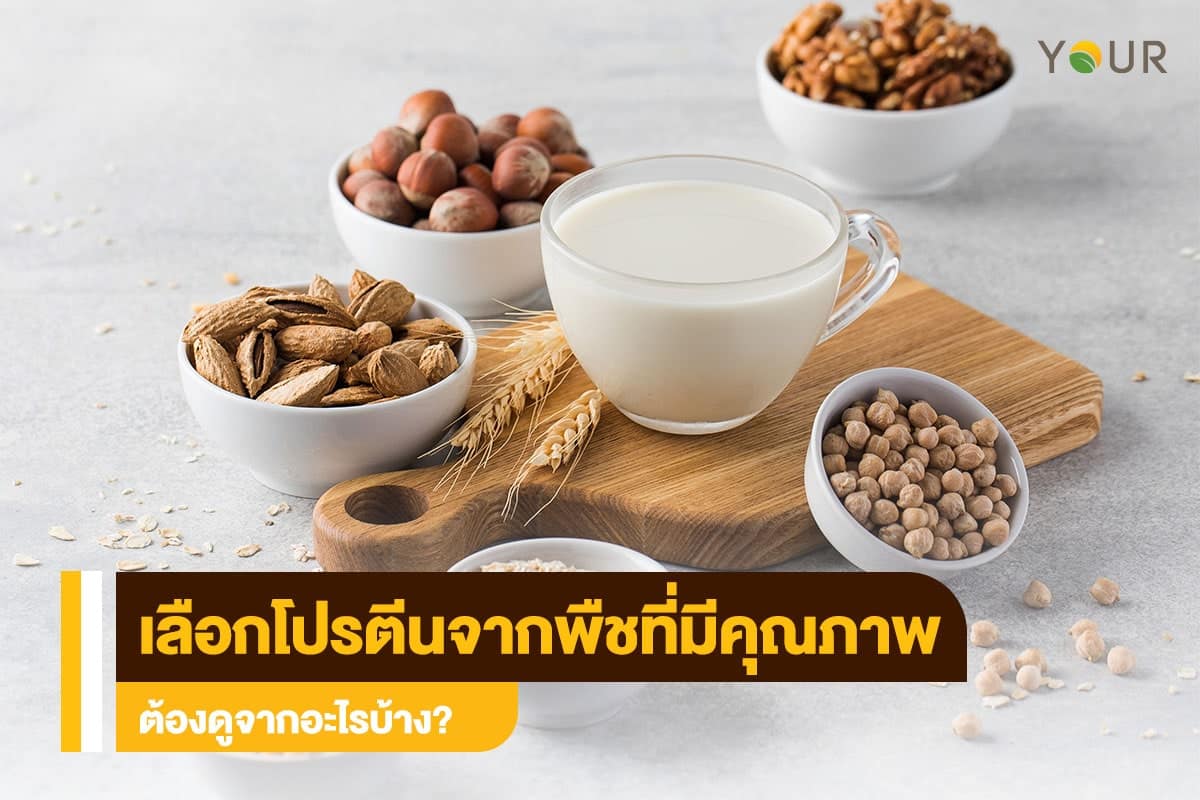 โปรตีนจากพืช