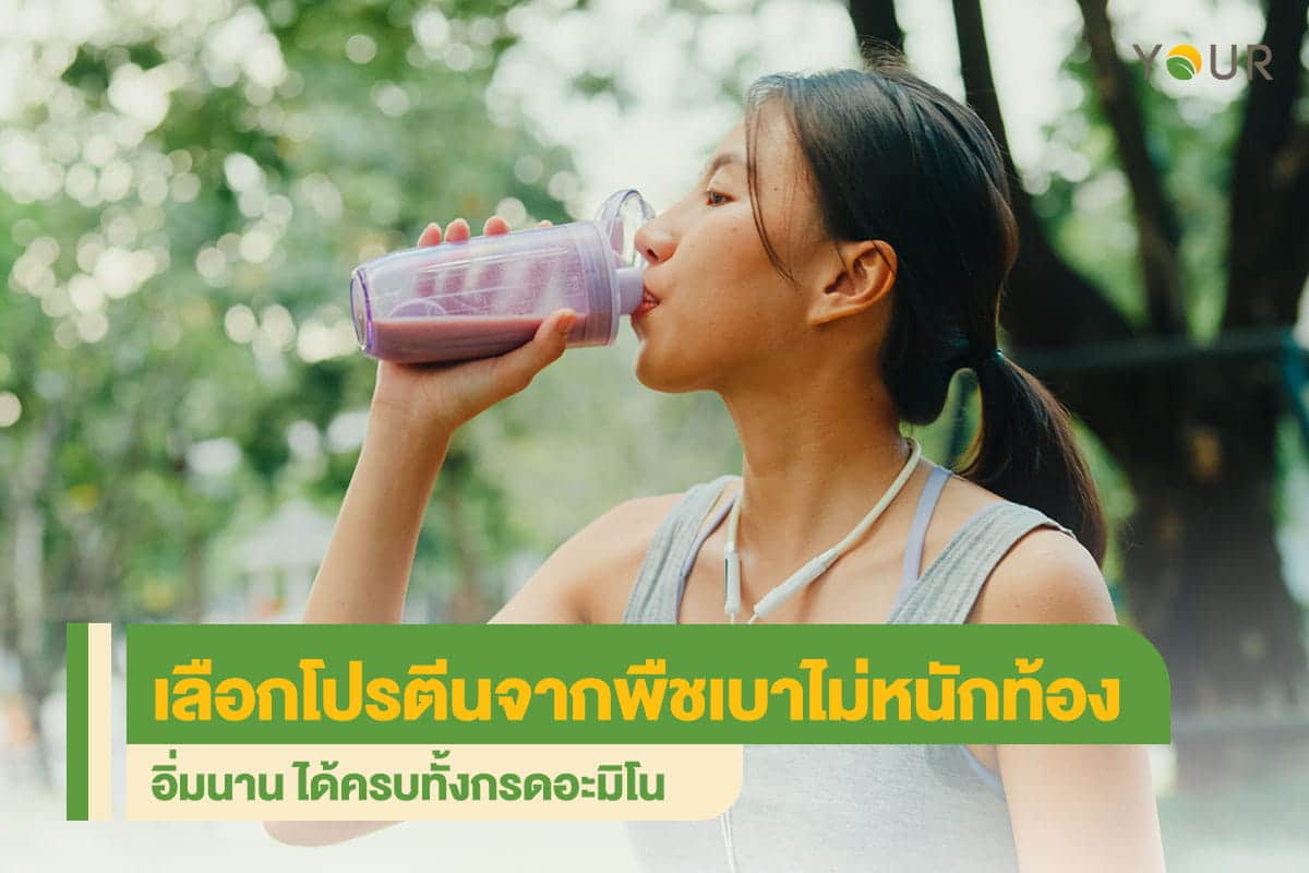 โปรตีนจากพืช