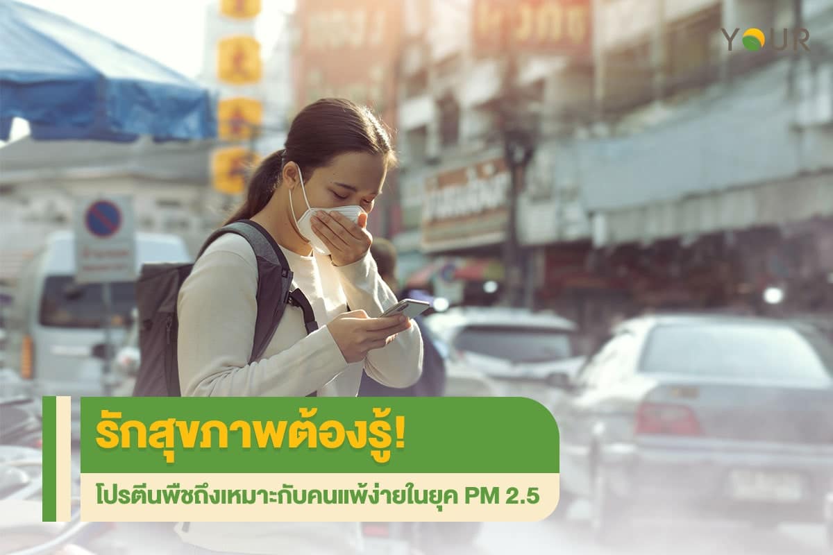 รักสุขภาพ