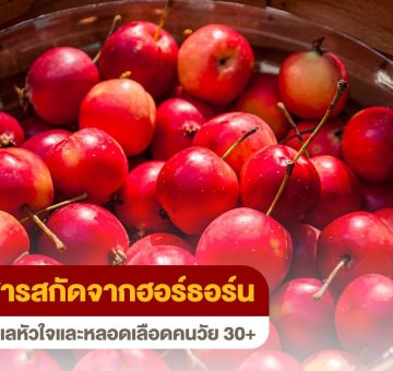 ฮอร์ธอร์น