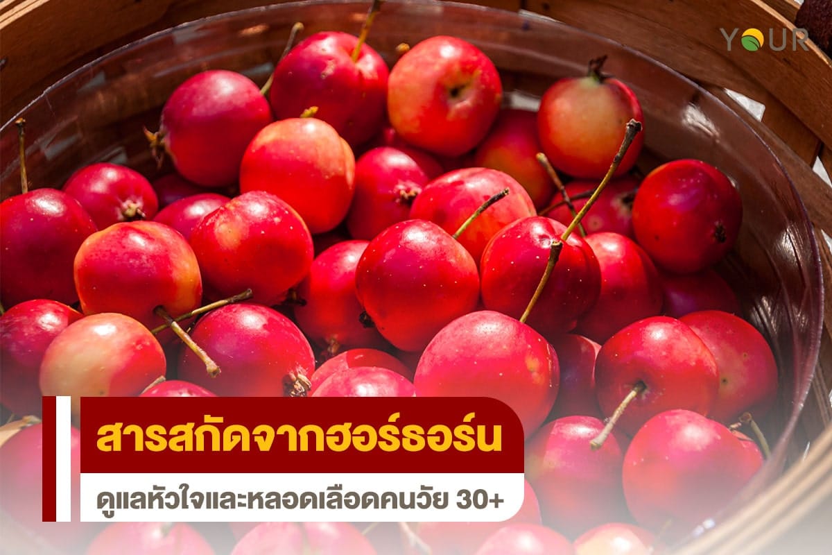 ฮอร์ธอร์น