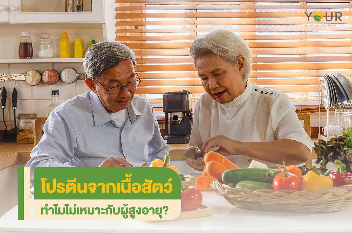 โปรตีนจากเนื้อสัตว์