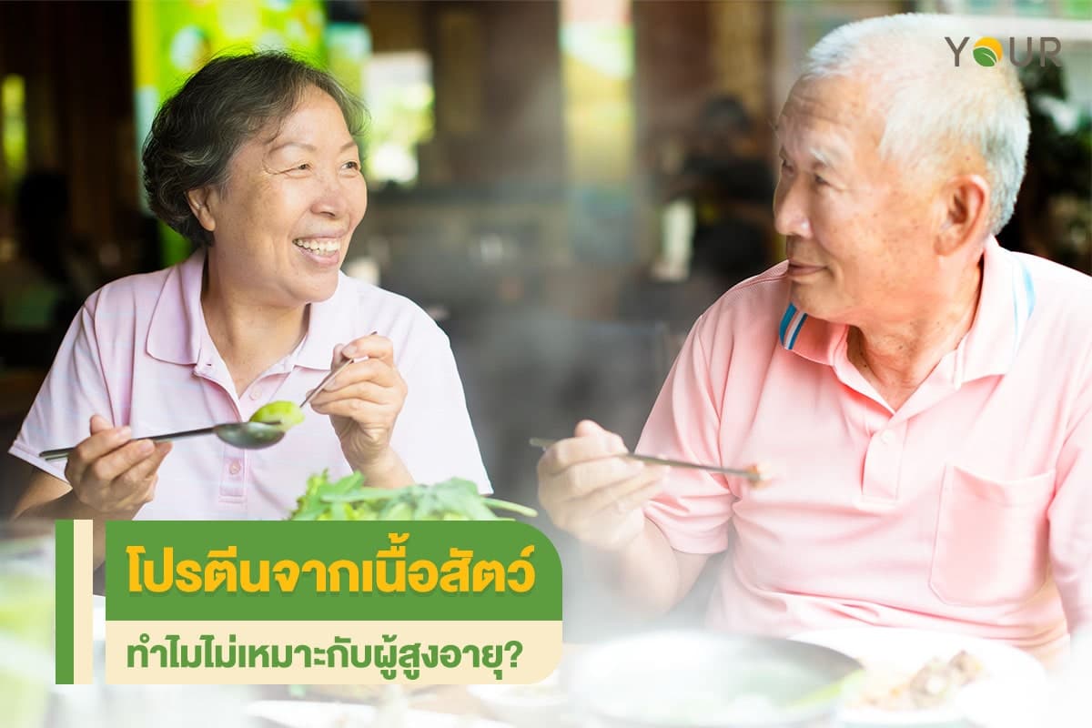 โปรตีนจากเนื้อสัตว์