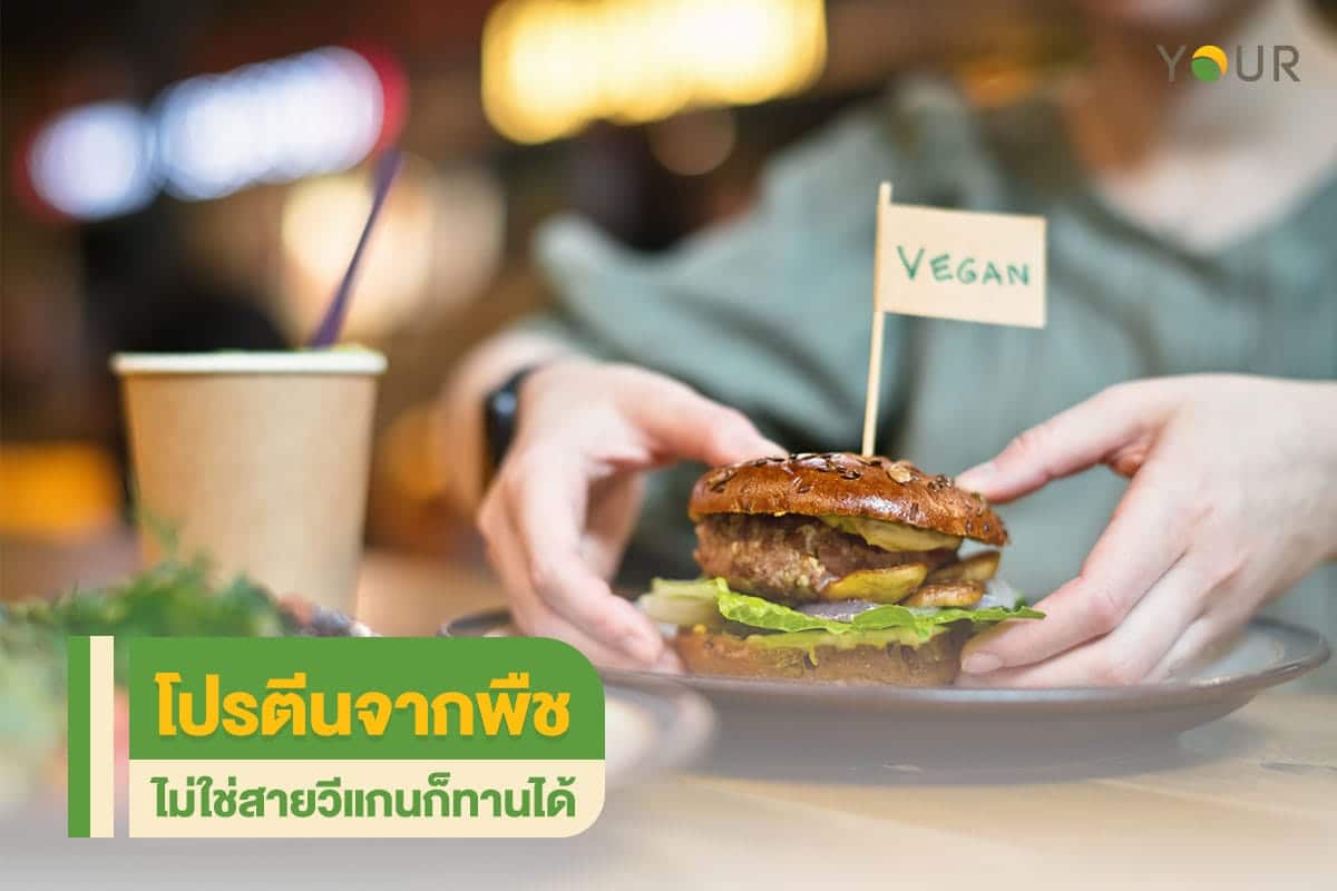 โปรตีนจากพืช