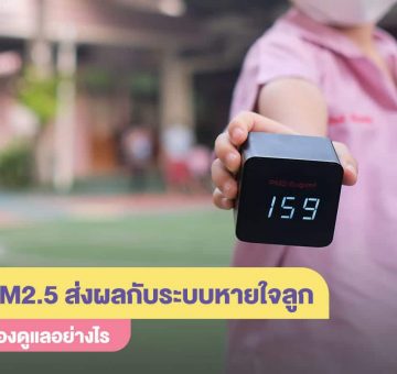 ฝุ่นPM