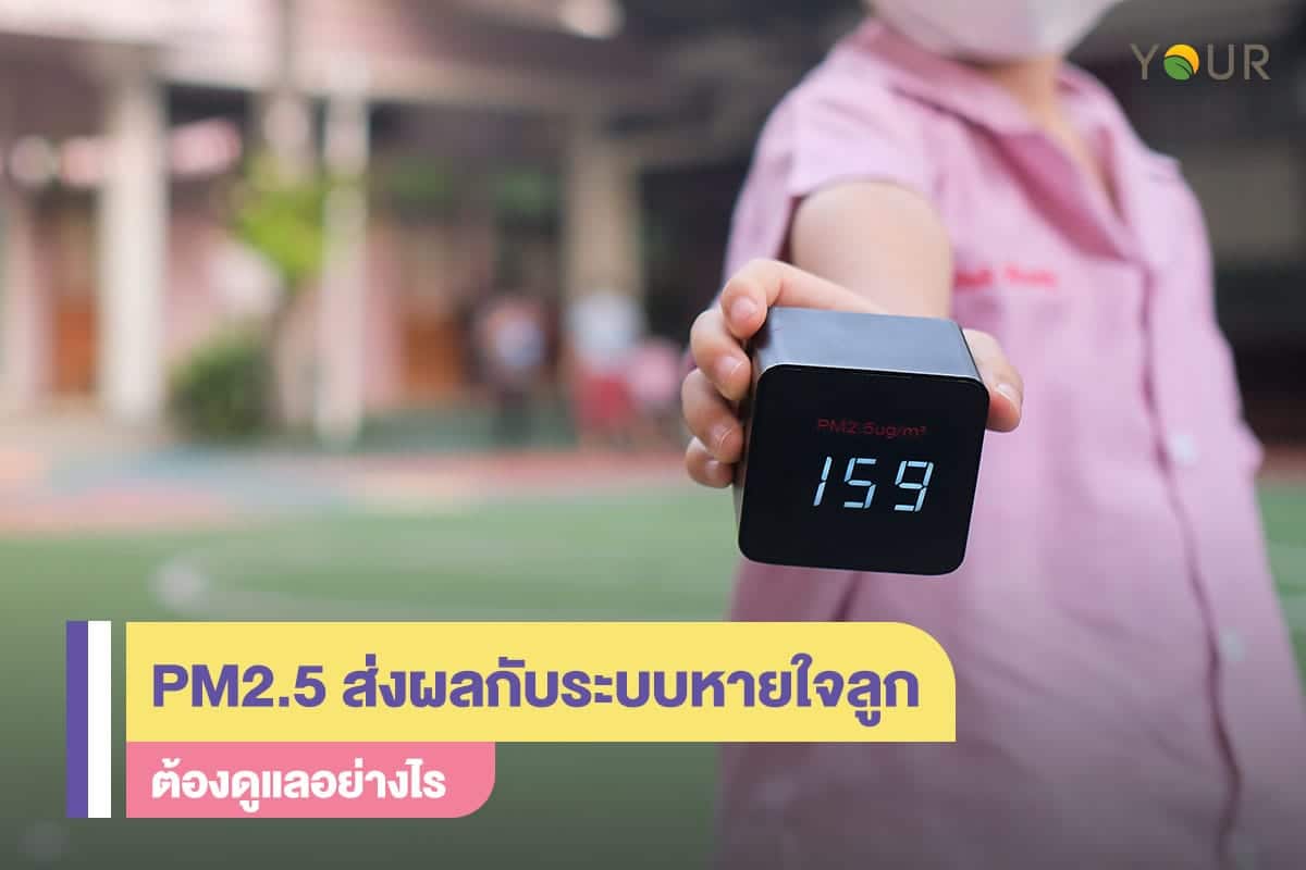 ฝุ่นPM