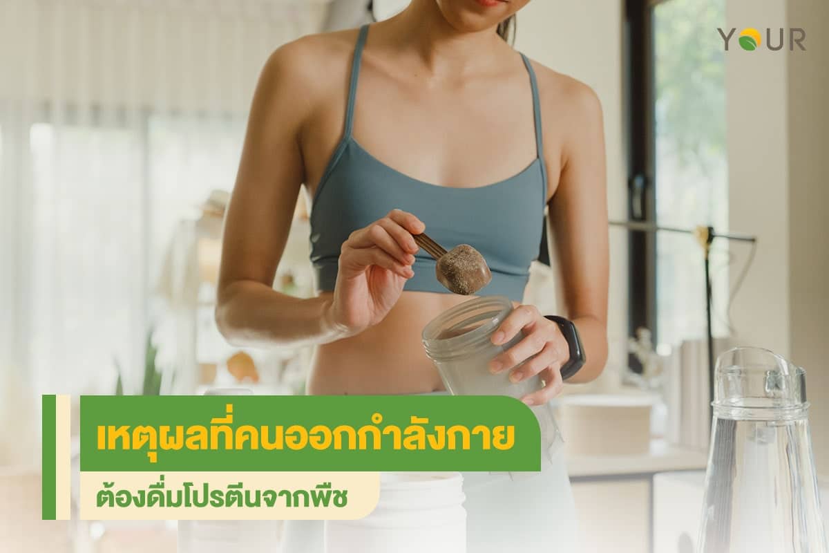 ออกกำลังกาย
