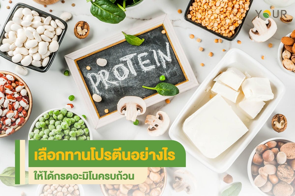 เลือกโปรตีน