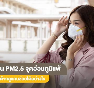 ฝุ่นPM
