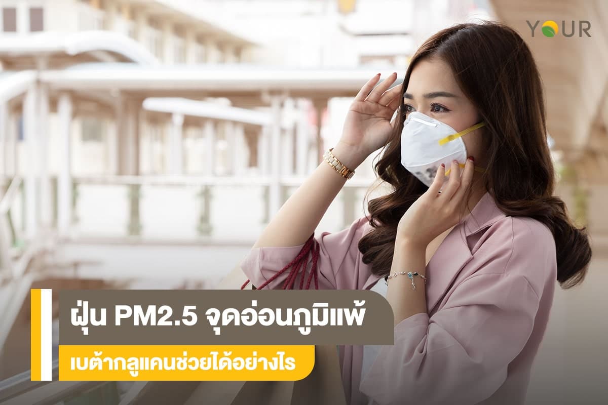 ฝุ่นPM