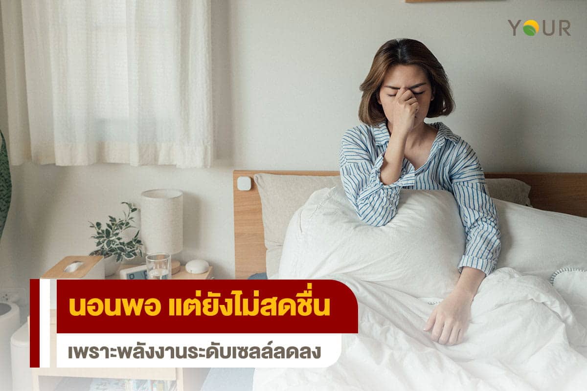 ไม่สดชื่น