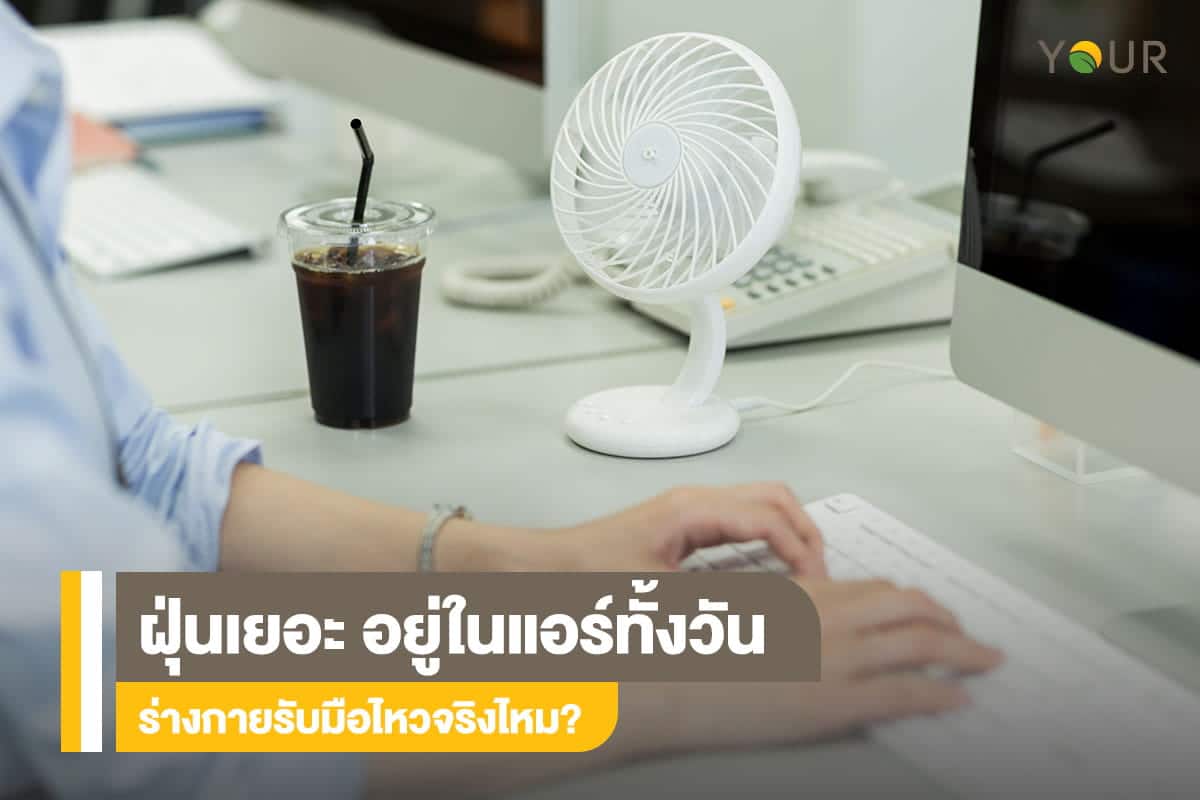 ฝุ่นเยอะ
